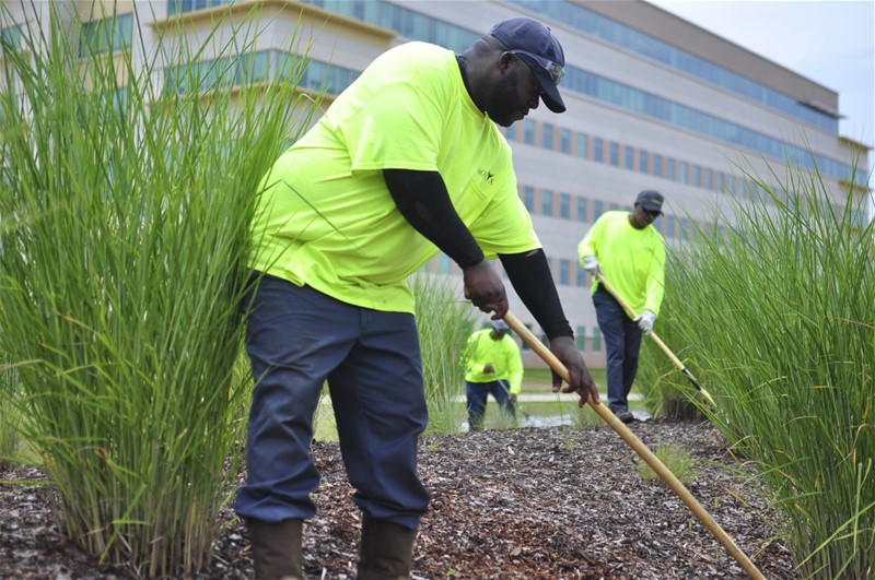 Business Brokers Gold Coast Business for Sale Gold Coast